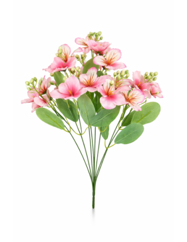 CONJUNTO HORTENSIA+MARIPOSA X9