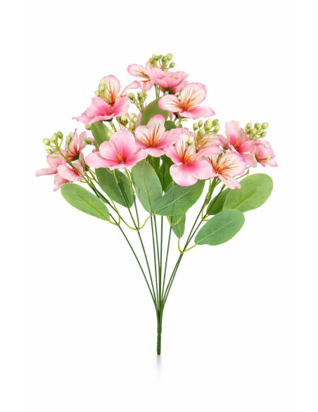 CONJUNTO HORTENSIA+MARIPOSA X9