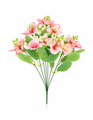 CONJUNTO HORTENSIA+MARIPOSA X9