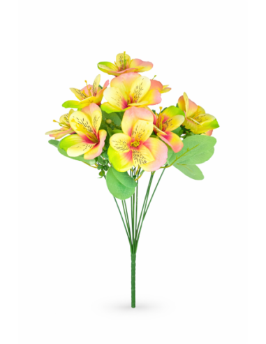 RAMO DE ORQUIDEA COLOR