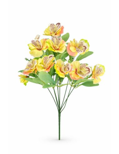RAMO DE ORQUIDEA COLOR