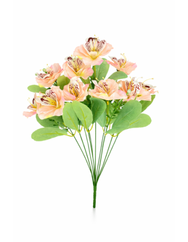 RAMO DE ORQUIDEA ROSA