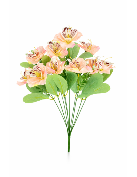 RAMO DE ORQUIDEA ROSA