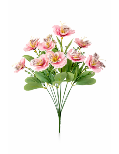 RAMO DE ORQUIDEA