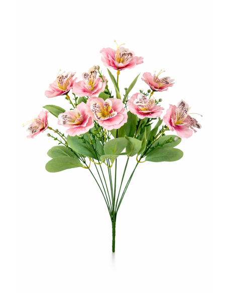 RAMO DE ORQUIDEA