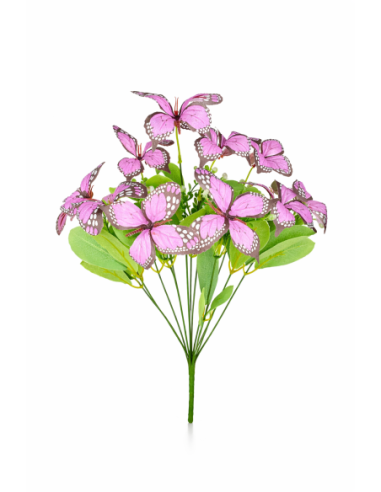 MARIPOSA LILA