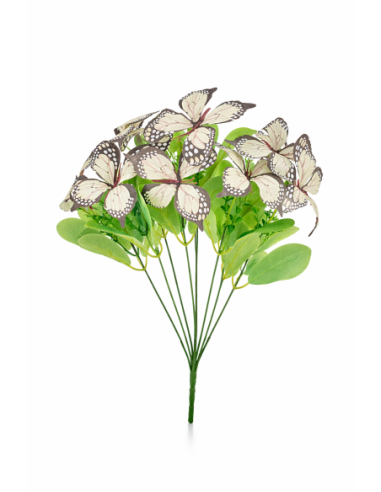MARIPOSA BLANCA