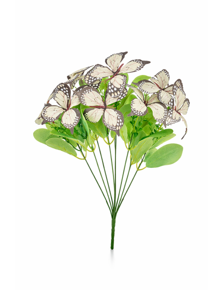 MARIPOSA BLANCA