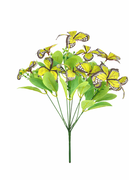 MARIPOSA VERDE