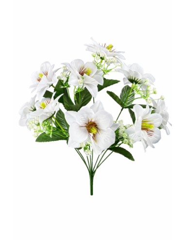 MAGNOLIA BLANCA