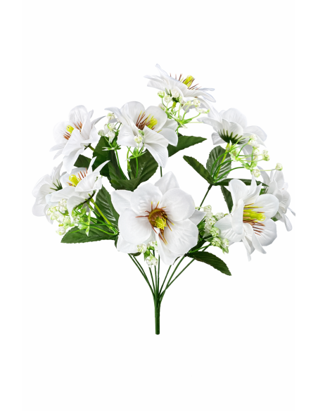 MAGNOLIA BLANCA