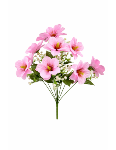 MAGNOLIA ROSA