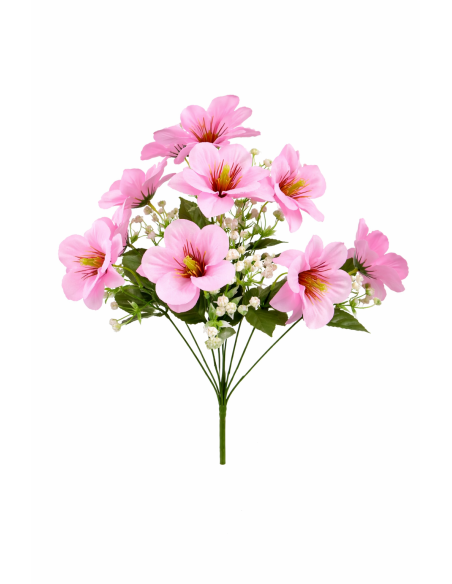 MAGNOLIA ROSA