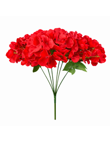ORTENSIA ROJA