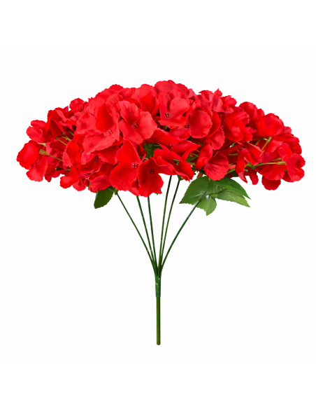 ORTENSIA ROJA