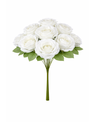RAMO ROSA BLANCA