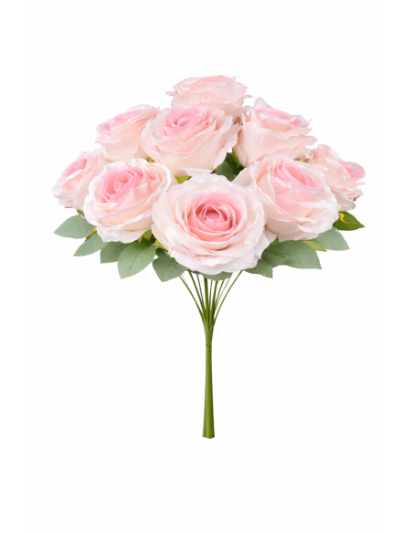 RAMO ROSA ROSA
