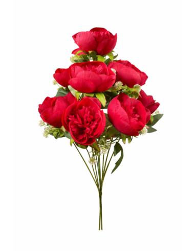 VARA DE PEONIA 9