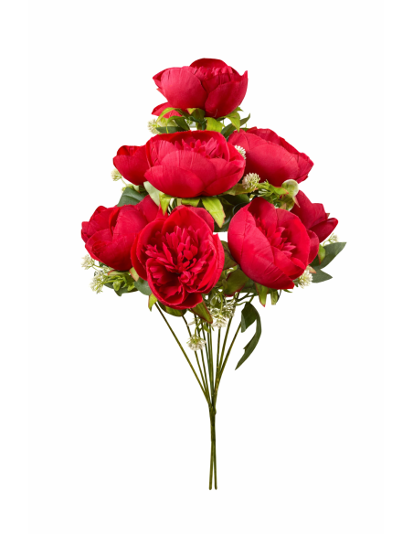 VARA DE PEONIA 9