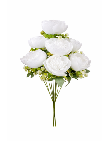VARA DE PEONIA 9