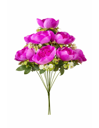 VARA DE PEONIA 9