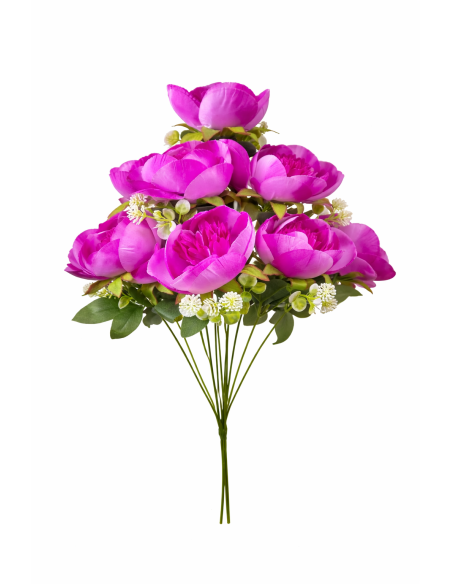 VARA DE PEONIA 9