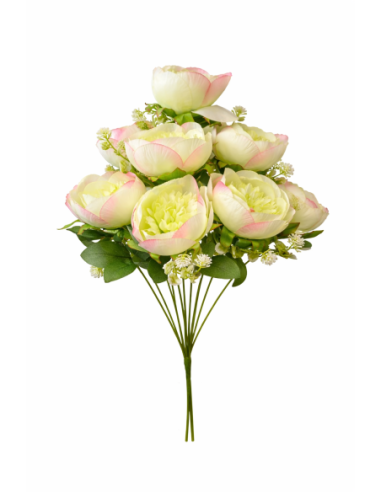 VARA DE PEONIA 9