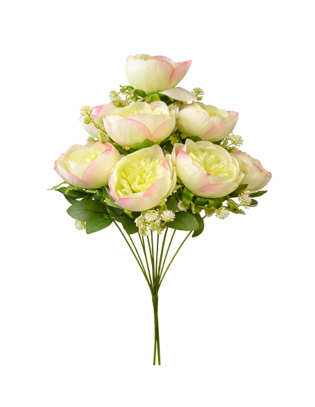 VARA DE PEONIA 9
