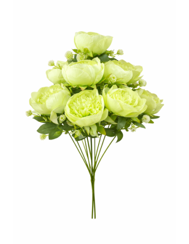 VARA DE PEONIA 9