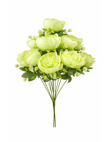 VARA DE PEONIA 9