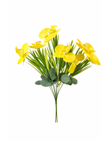 RAMO ORQUIDEA