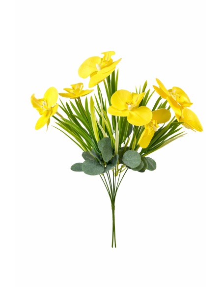 RAMO ORQUIDEA