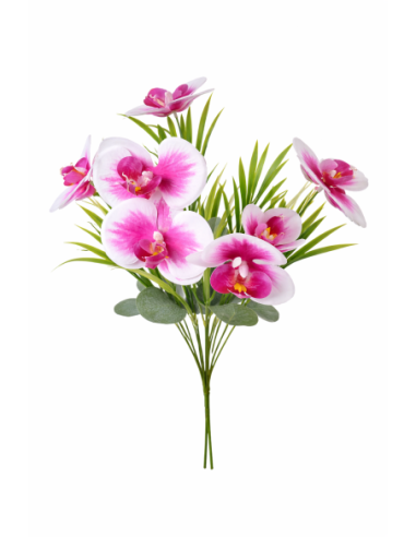 RAMO ORQUIDEA