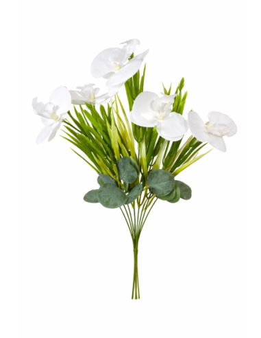 RAMO ORQUIDEA