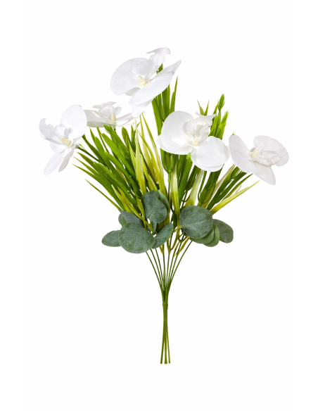 RAMO ORQUIDEA