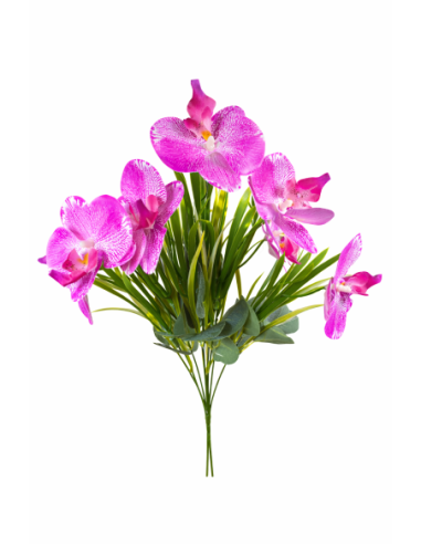 RAMO ORQUIDEA