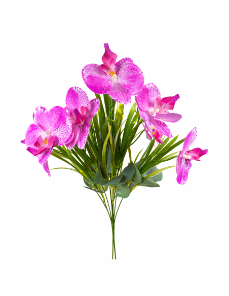 RAMO ORQUIDEA