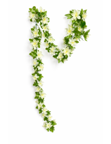 GUIRNALDA DE NARCISO BLANCA 1.9M