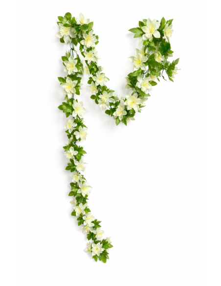 GUIRNALDA DE NARCISO BLANCA 1.9M