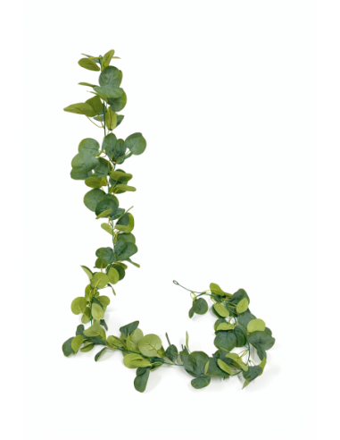 ENREDADERA DE EUCALIPTO 1.8M