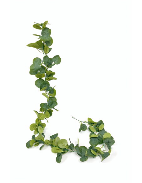 ENREDADERA DE EUCALIPTO 1.8M