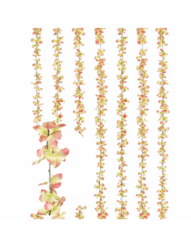 XIANGBIN-ENREDADERAS 240CM