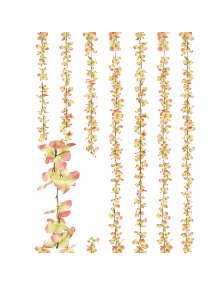 XIANGBIN-ENREDADERAS 240CM