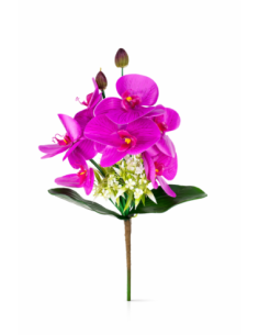 RAMO ORQUIDEA X8