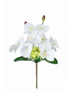 RAMO ORQUIDEA X8