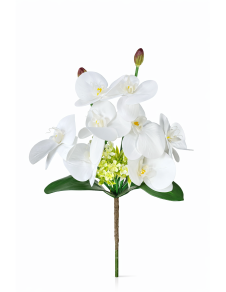 RAMO ORQUIDEA X8