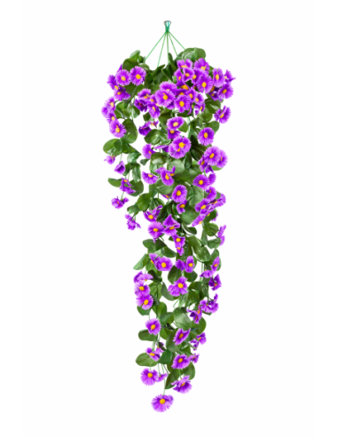 ENREDADERA COLGANTE MARGARITA 77CM