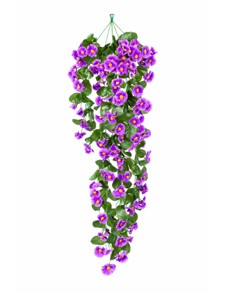 ENREDADERA COLGANTE MARGARITA 77CM