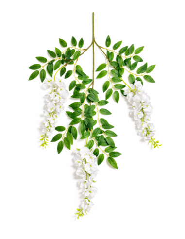 GUIRNALDA DE GLICINIA BLANCA
