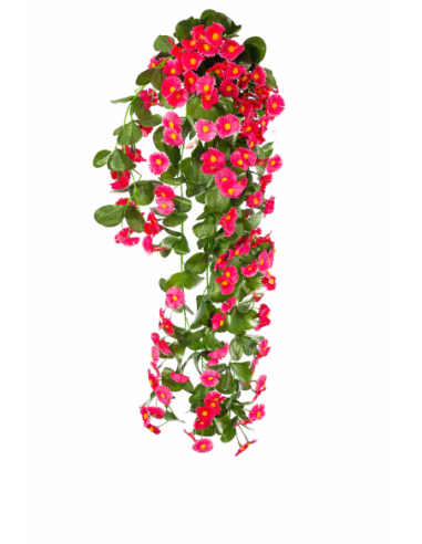ENREDADERA COLGANTE MARGARITA 77CM
